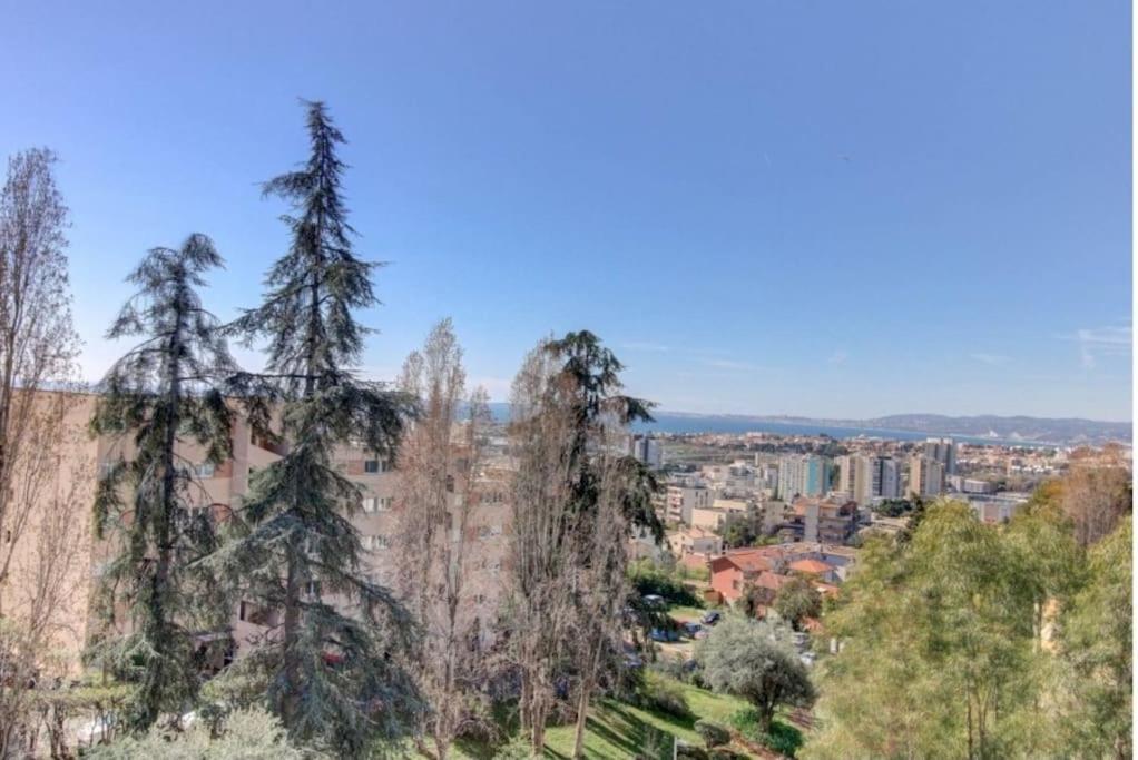 Terrasses De La Corniche, 2p 65m2 Spacieux, Terrasses & Montagne, Piscine Et Parking Prive Appartamento Nizza